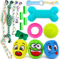 16-Piece Puppy Toy & Walk Essential Bundle