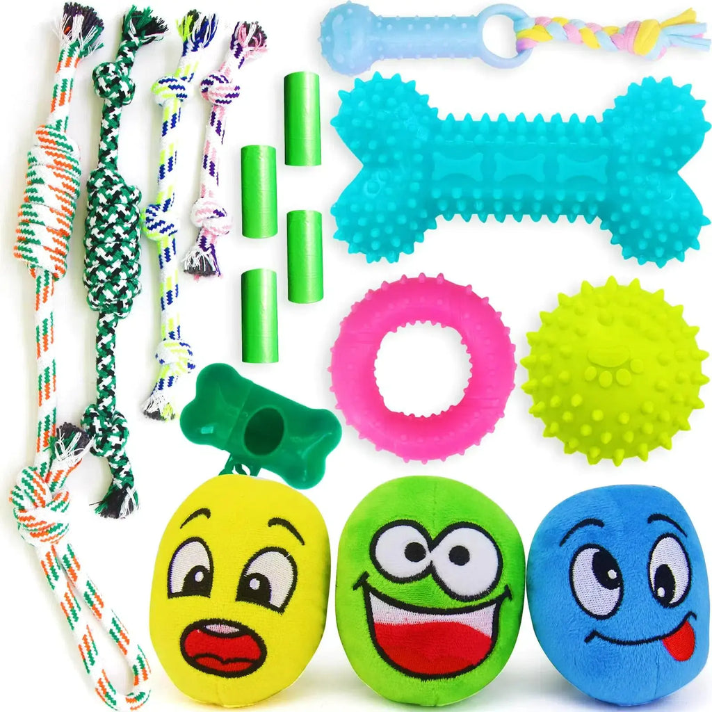16-Piece Puppy Toy & Walk Essential Bundle