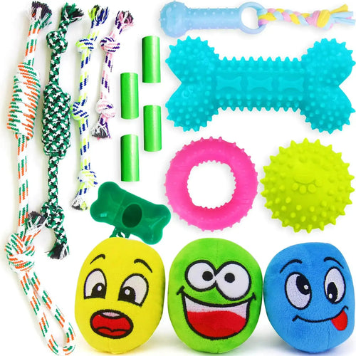 16-Piece Puppy Toy & Walk Essential Bundle